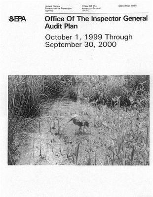 Office of the Inspector General's (Oig) Fy 2000 Audit Plan October 1