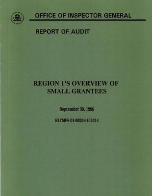 Region 1's Overview of Small Grantees: Oig Audit Report