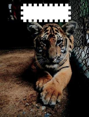 Steampunk Tiger Composition Notebook: Back To School Supplies; Wide Ruled Primary Book