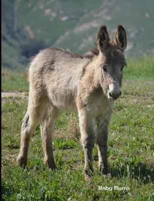 Baby Burro: 7.44 X 9.69 Cute Baby Burro Baby Animals Journal Graph Ruled Paper Notebook Unique Appreciation, Birthday, Christmas, Back to School Composition Notebook Gift for Students, Friends, Teachers or Artists