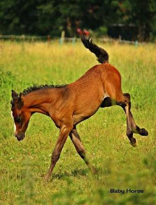 Baby Horse: 7.44 X 9.69 Cute Baby Horse Foal Baby Animals Journal Wide Ruled Paper Notebook Unique Appreciation, Birthday, Christmas, Back to School Composition Notebook Gift for Students, Friends, Teachers or Artists
