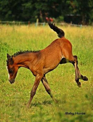 Baby Horse: 7.44 X 9.69 Cute Foal Baby Horse Baby Animals Journal Graph Ruled Paper Notebook Unique Appreciation, Birthday, Christmas, Back to School Composition Notebook Gift for Students, Friends, Teachers or Artists