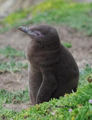 Baby Penguin: 7.44 X 9.69 Cute Baby Penguin Chick Baby Animals Journal Wide Ruled Paper Notebook Unique Appreciation, Birthday, Christmas, Back to School Composition Notebook Gift for Students, Friends, Teachers or Artists