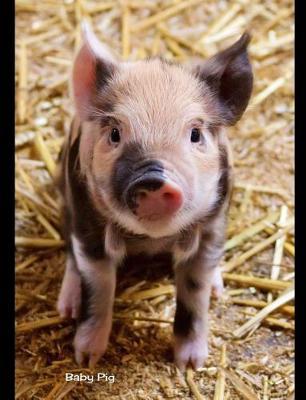 Baby Pig: 7.44 X 9.69 Cute Piglet Baby Pig Baby Animals Journal Graph Ruled Paper Notebook Unique Appreciation, Birthday, Christmas, Back to School Composition Notebook Gift for Students, Friends, Teachers or Artists