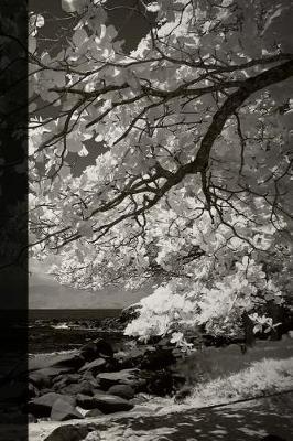 Artsy Journal: College Ruled Notebooks To Write In For Women - White Petal Tree, 6  x 9