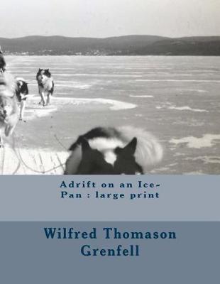 Adrift on an Ice-Pan: large print