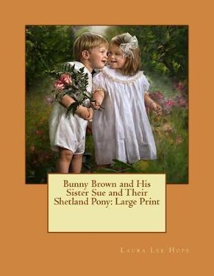 Bunny Brown and His Sister Sue and Their Shetland Pony: Large Print