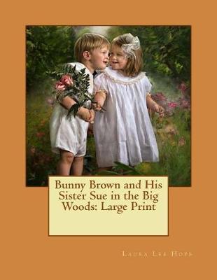 Bunny Brown and His Sister Sue in the Big Woods: Large Print