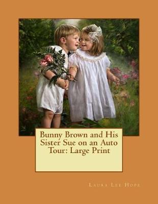 Bunny Brown and His Sister Sue on an Auto Tour: Large Print