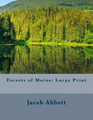 Forests of Maine: Large Print