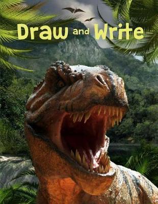 Draw and Write Journal Dinosaur Notebook: Creative Writing & Drawing Journal for Kids (8.5 X 11 Notebook)