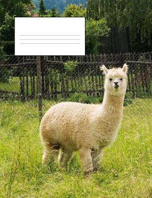 Composition Notebook - 100 Pages: Alpaca Animal Cover Composition Notebook for Kids, Cool Books for Teens, Boys, Girls - Wide Ruled, Note Taking or Writing Book, Journal, Diary, Planner Organizer - Back to School Supplies, for Students and Teachers