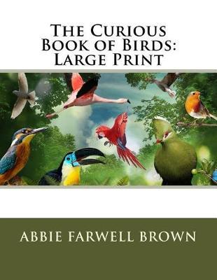 The Curious Book of Birds: Large Print