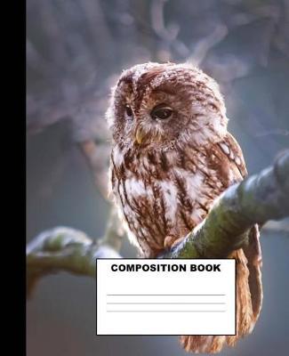 Owl Composition Book: Owl Composition Notebook. 132 Pages Wide Ruled 7.5x9.25