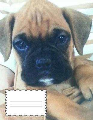 Boxer Puppy Story Paper Notebook 8.5  X 11: Kindergarten through 3rd Grade 150 Pages