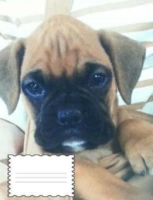 Boxer Puppy Composition Book