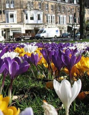 Crocus Purple Flower Floral Bloom Blossom Garden Gardening Journal Notebook: Notebook Large Size 8.5 x 11 Ruled 150 Lined Softcover
