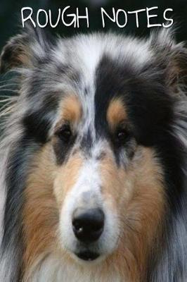 Rough Notes: 6 x9  lined, medium college ruled notebook, 100 pages for notes