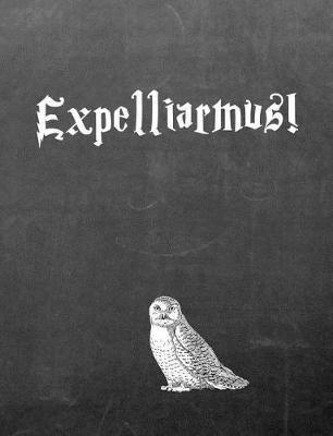 Expelliarmus!: 7.44 X 9.69 Wide Ruled Paper Notebook, Birthday, Christmas, Back to School, Quote Journal or Diary Unique Inspirational Composition Book Gift for Friend, Family, Teacher, Student, Magical or Not - Black Chalkboard White Owl