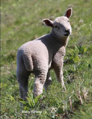 Baby Lamb: Cute Lamb Baby Sheep Animals Journal College Ruled Paper Notebook Unique Appreciation, Birthday, Christmas, Back to School Composition Notebook Gift for Students, Friends, Teachers or Artists