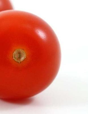 Tomatoes Notebook Large Size 8.5 x 11 Ruled 150 Pages Softcover: Notebook Large Size 8.5 x 11 Ruled 150 Pages Softcover For Home School Work Office Business Composition Book School Exercise Book