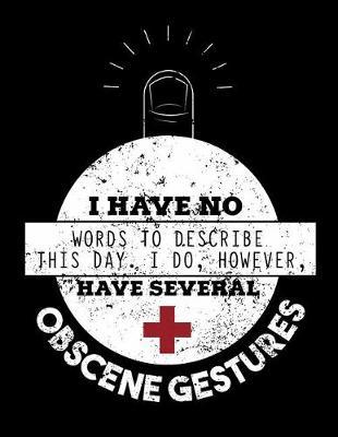 I Have No Words To Describe This Day I Do However Have Several Obscene Gestures: Nurse Journal, Nurse Practitioner Journal, Nursing Notebook