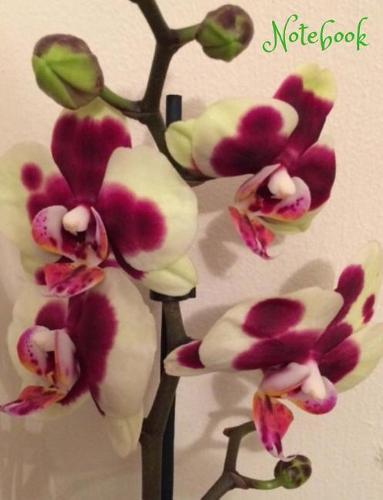 Notebook: 100 Page Wide Ruled Paper, Large Size 7.44x9.69 for All Your Writing and Notes. Glossy Cover to Protect Your Book.