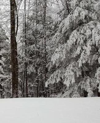 Beautiful Winter Season School Composition Book 130 Pages: (Notebook, Diary, Blank Book)