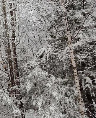 Pretty Winter School Composition Book 130 Pages: (notebook, Diary, Blank Book)