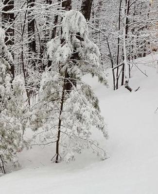 Pretty Winter Scenic School Composition Book 130 Pages: (notebook, Diary, Blank Book)