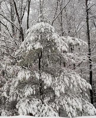 Pretty Winter Scene School Composition Book 130 Pages: (notebook, Diary, Blank Book)