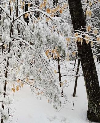 Scenic Winter Season School Composition Book 130 Pages: (notebook, Diary, Blank Book)