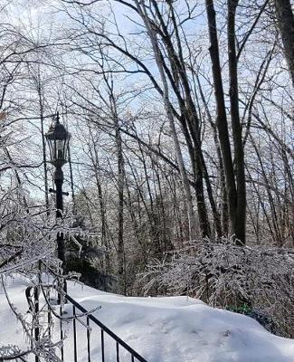 School Composition Book Winter Ice Storm Birch Tree Snow Covered 130 Pages: (notebook, Diary, Blank Book)