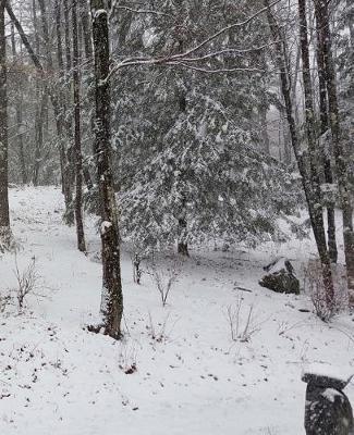 School Composition Book Winter Scene Evergreens Trees 130 Pages: (Notebook, Diary, Blank Book)