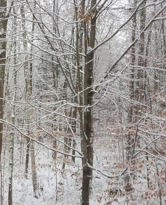 School Composition Book Winter Snow Covered Bare Tree Branches 130 Pages: (notebook, Diary, Blank Book)