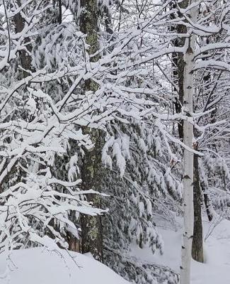 Winter School Composition Book Beautiful Forest 130 Pages: (notebook, Diary, Blank Book)