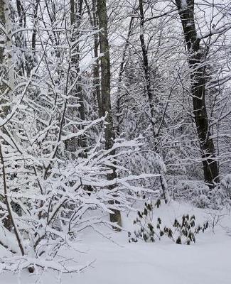 Winter School Composition Book Pretty Scene 130 Pages: (notebook, Diary, Blank Book)