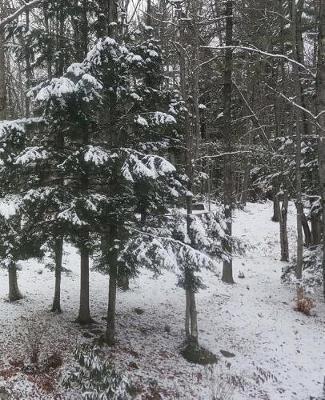 Winter School Composition Book Pretty Snowstorm 130 Pages: (Notebook, Diary, Blank Book)