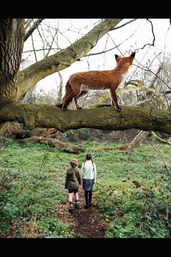 The Lightning Tree: Children's fantasy adventure for kids age approx 8 to 12...thriller...family values, themes of love and forgiveness and inner healing...mystery, suspense and adventure