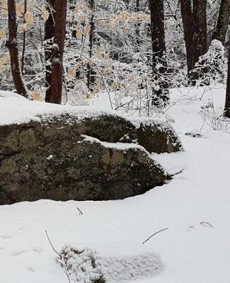 Winter School Composition Book Rock Snowy Forest 130 Pages: (notebook, Diary, Blank Book)