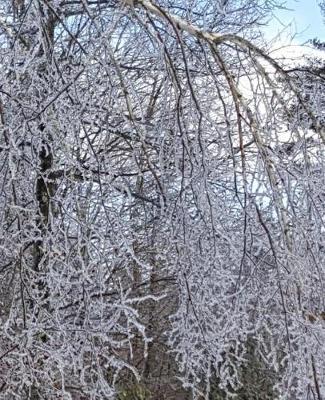 Winter School Composition Book Scenic Forest Ice Storm 130 Pages: (notebook, Diary, Blank Book)