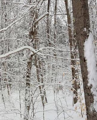 Winter School Composition Book Scenic Photo 130 Pages: (notebook, Diary, Blank Book)