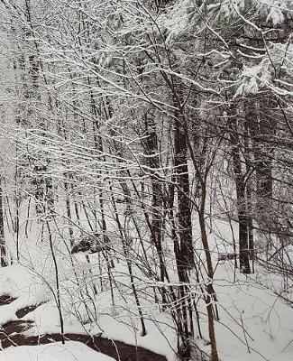 Winter School Composition Book Scenic Snowstorm 130 Pages: (notebook, Diary, Blank Book)