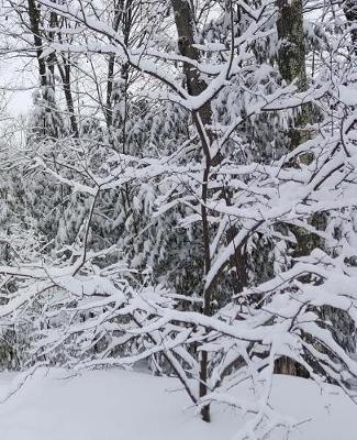 Winter School Composition Book Scenic Snowy Forest 130 Pages: (Notebook, Diary, Blank Book)