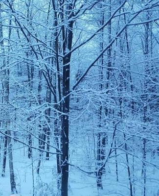 Winter School Composition Book Snowy Morning Blue Hour 130 Pages: (notebook, Diary, Blank Book)