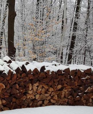 Winter School Composition Book Woodpile Trees Snowstorm 130 Pages: (notebook, Diary, Blank Book)