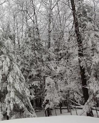 Winter Season Beautiful School Composition Book 130 Pages: (notebook, Diary, Blank Book)