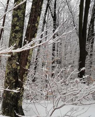 Winter Season School Composition Book 130 Pages: (notebook, Diary, Blank Book)