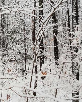 Winter Season School Composition Book After Snowstorm 130 Pages: (notebook, Diary, Blank Book)