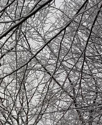 Winter Season School Composition Book Snowstorm Effect 130 Pages: (notebook, Diary, Blank Book)